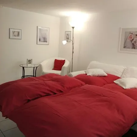 Souterrain-wohnung In Gepflegter Apartamento Solingen